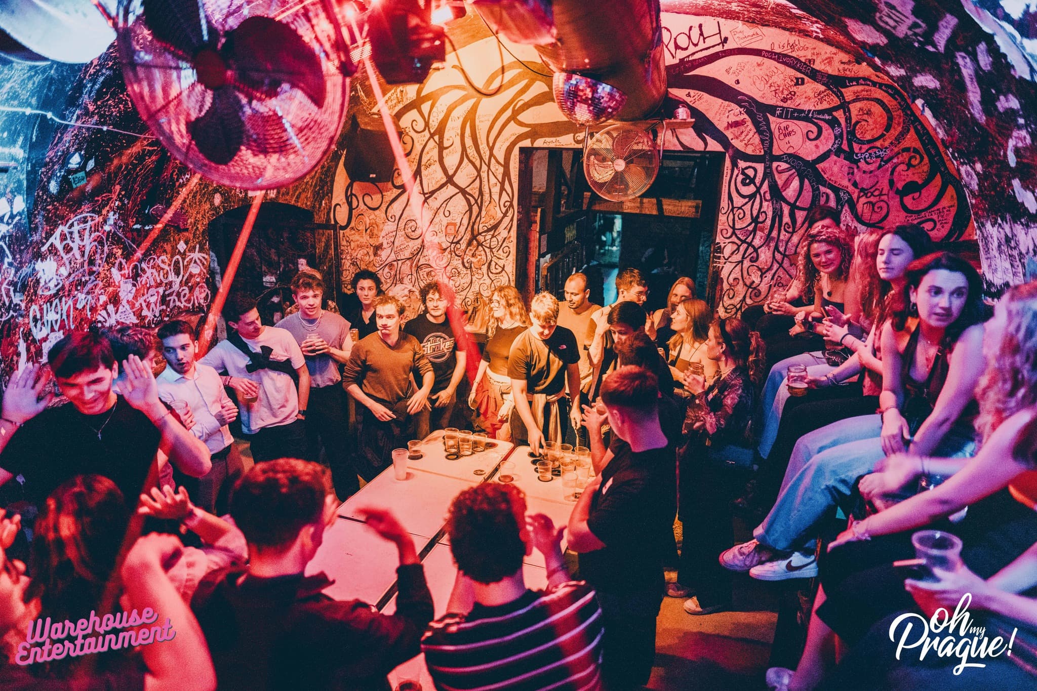 Party Life 5